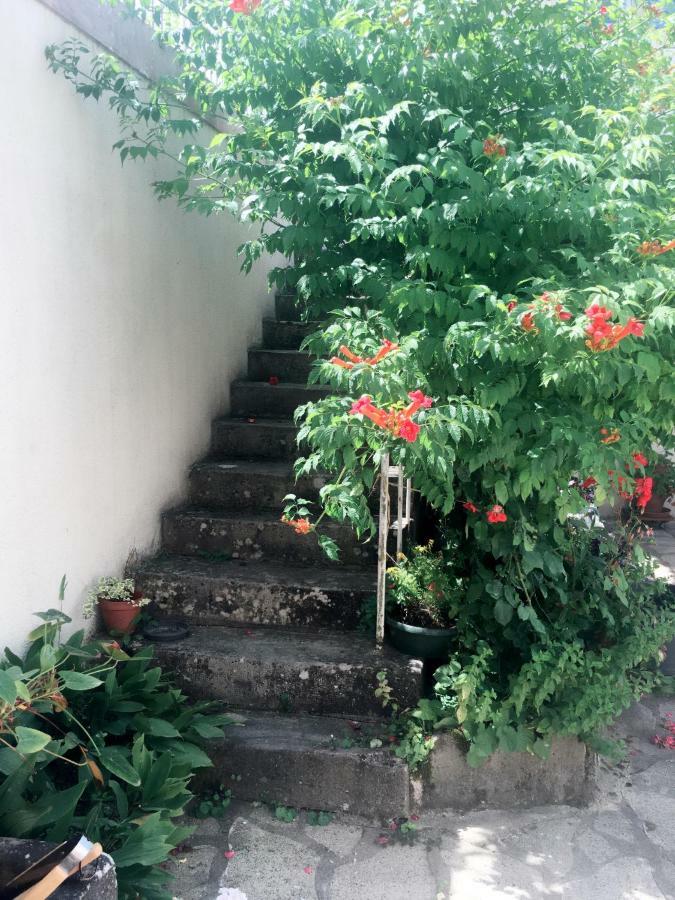 Bed and Breakfast Le Muguet Saint-Georges-sur-Cher Exterior foto